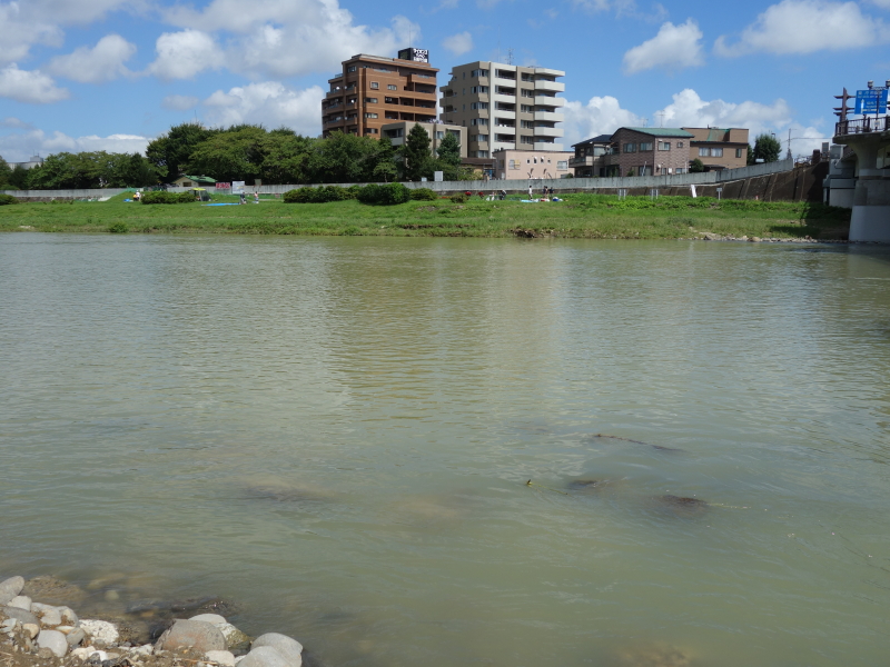 2016年09月の広瀬川その4