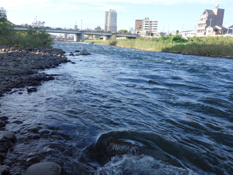 2016年10月の広瀬川その3
