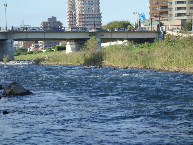 2016年10月の広瀬川その1