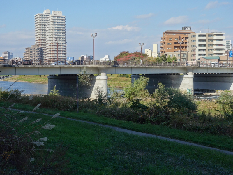 2016年11月の広瀬川その1
