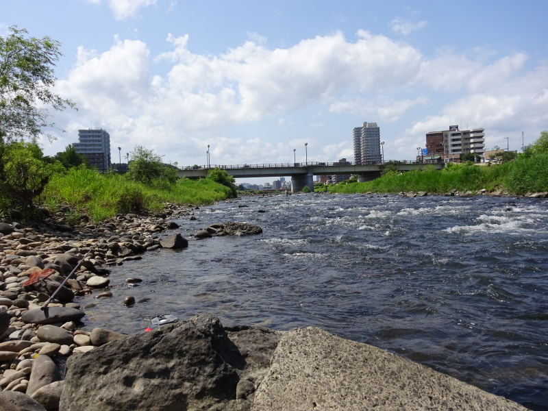 2017年07月の広瀬川その1
