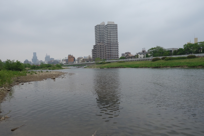 2018年05月の広瀬川その3