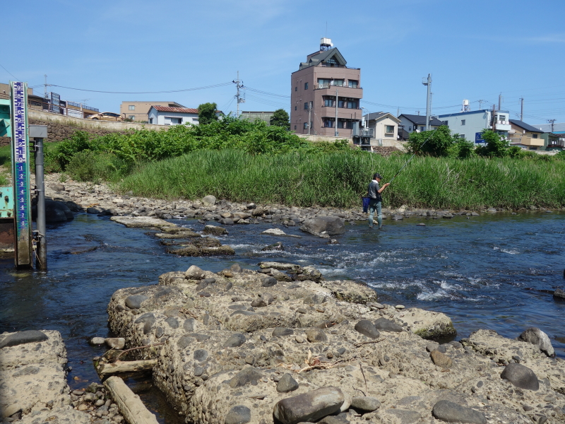 2018年07月の広瀬川その1