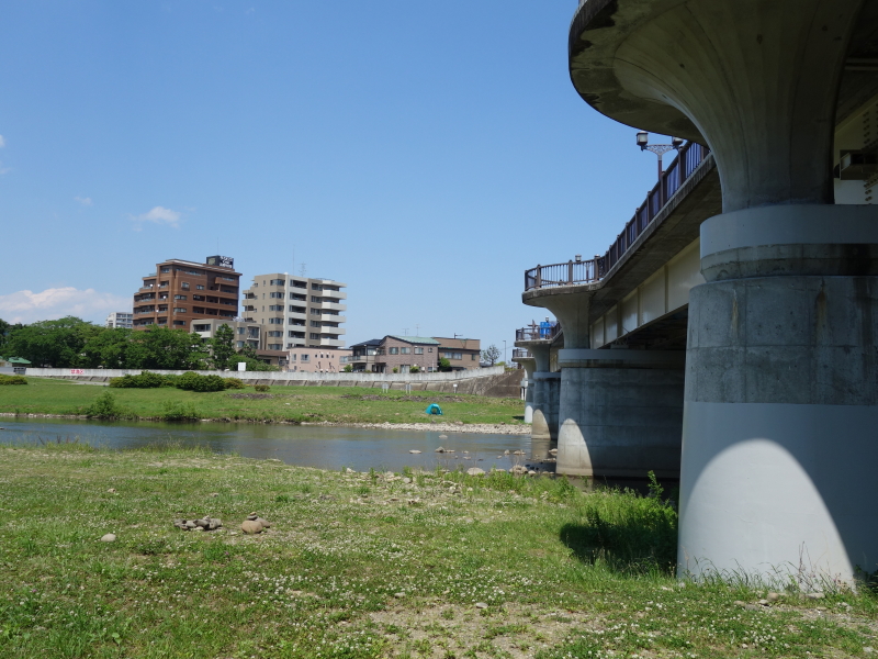 2019年06月の広瀬川その3