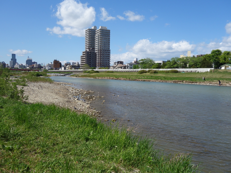 2020年05月の広瀬川その3