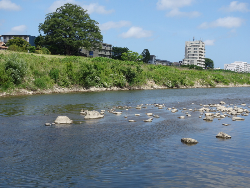 2021年06月の広瀬川その2