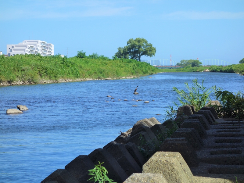 2021年08月の広瀬川その4