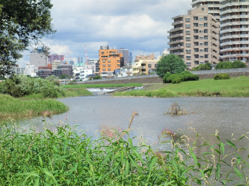 2021年09月の広瀬川その5