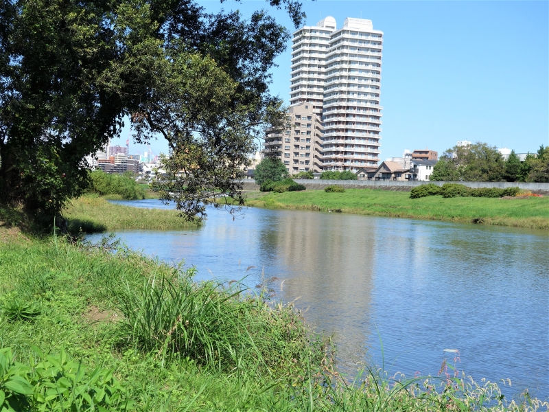 2021年10月の広瀬川その6