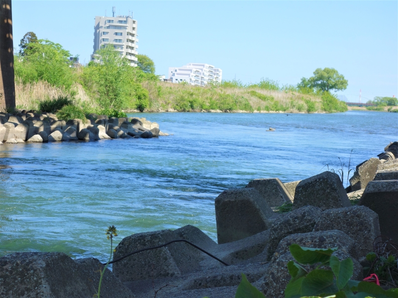 2022年05月の広瀬川その6