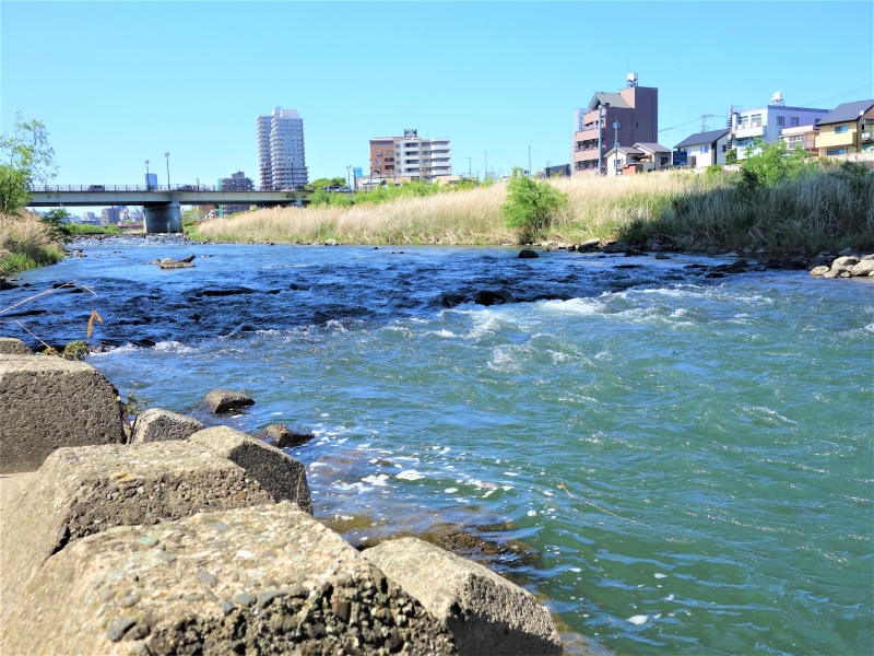 2022年05月の広瀬川その1