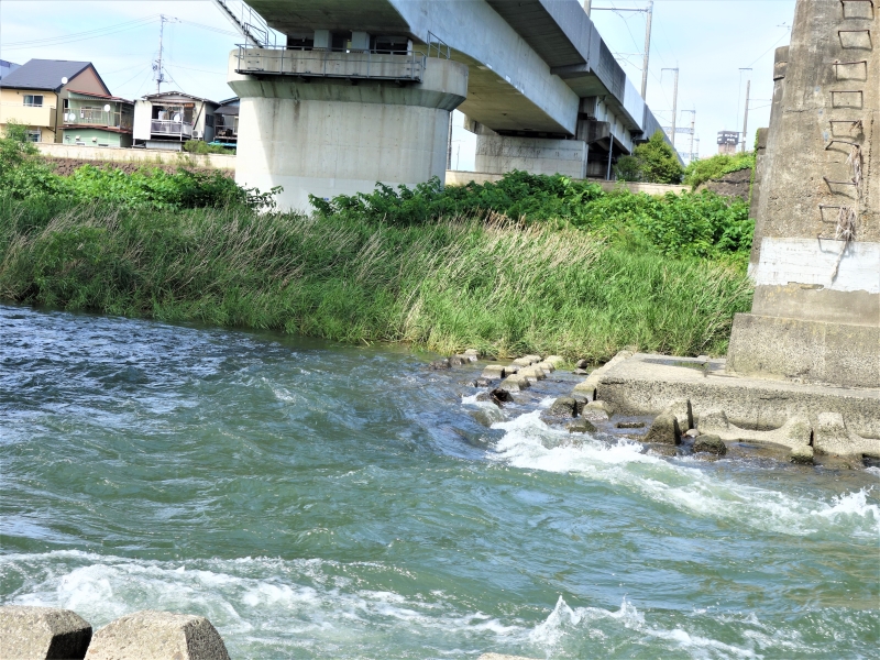 2022年06月の広瀬川その3
