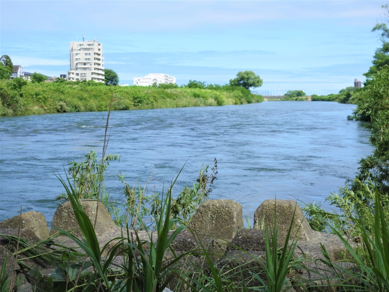 2022年06月の広瀬川その4